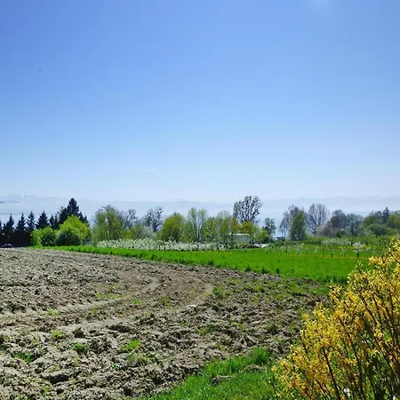 Park, Immenstaad Immenstaad am Bodensee